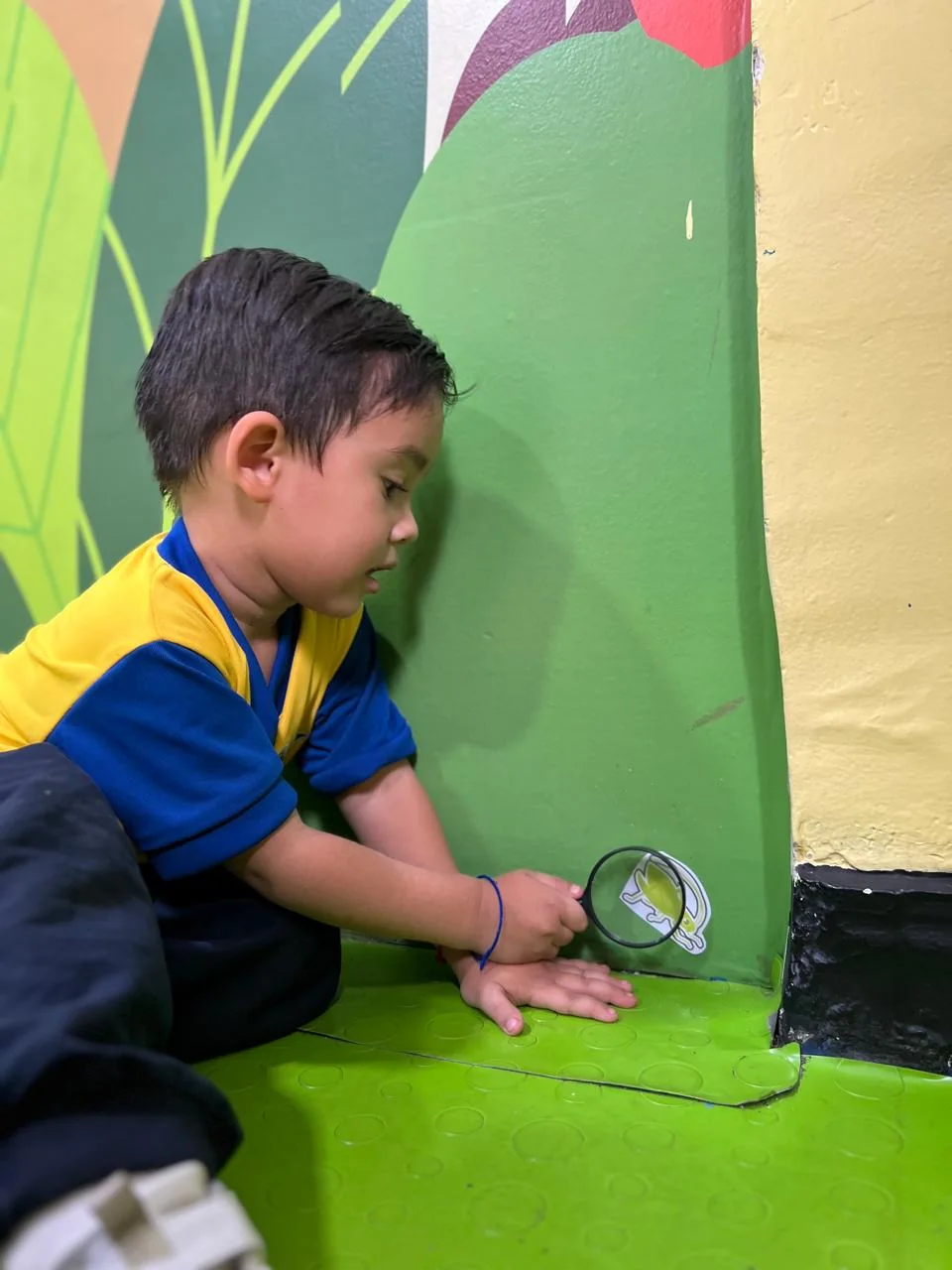 Experiencia Ciencia, tecnología e innovación